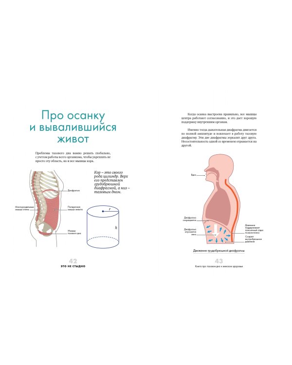 Это не стыдно. Книга про тазовое дно и женское здоровье