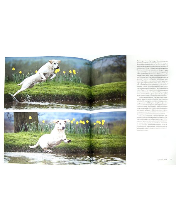 Собаки. Иллюстрированная энциклопедия