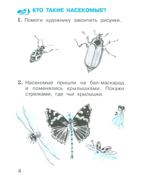 Окружающий мир. 1 класс. Тетрадь для тренировки и самопроверки. Часть 2