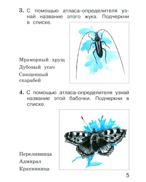 Окружающий мир. 1 класс. Тетрадь для тренировки и самопроверки. Часть 2
