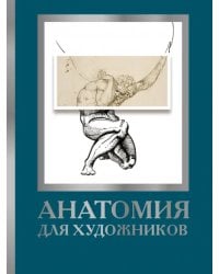 Анатомия для художников