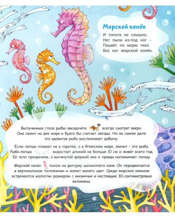 Морской звездочёт и другие удивительные рыбы