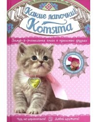 Какие лапочки! Котята