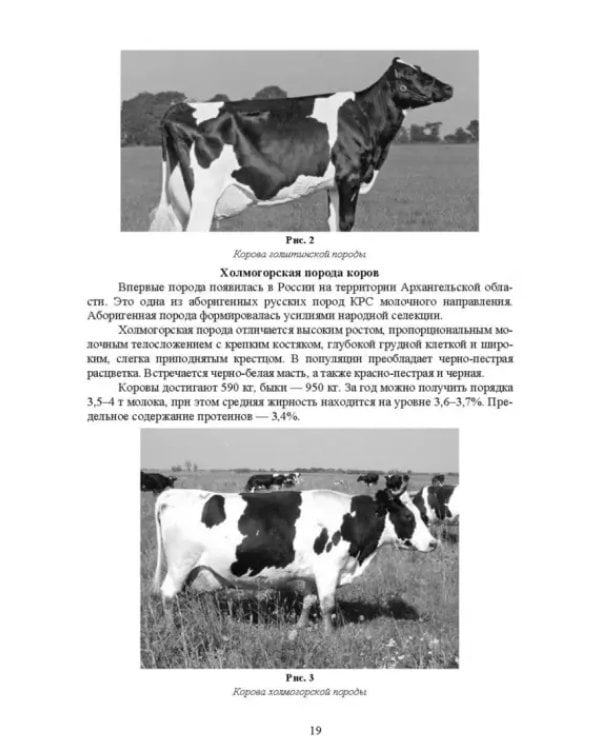 Общая технология переработки сырья животного происхождения (мясо, молоко). Учебник для СПО