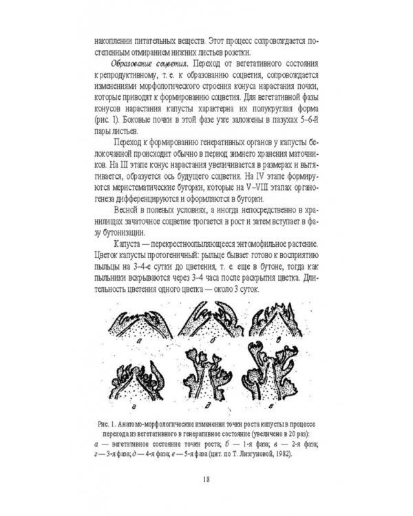 Овощеводство. Практикум. Учебное пособие для СПО