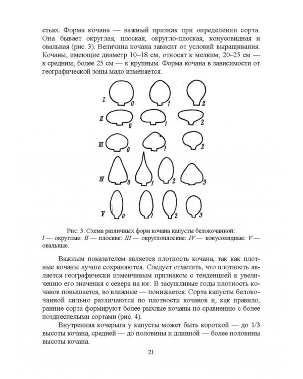 Овощеводство. Практикум. Учебное пособие для СПО