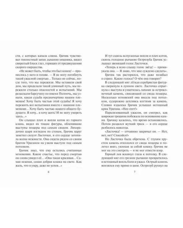 Дополнительное изображение книги «Испытание Грача. Тени прошлого»