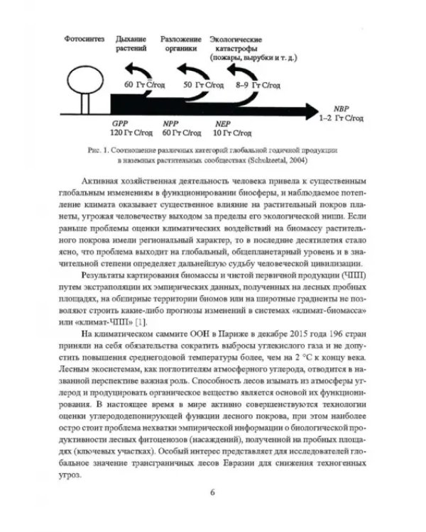Динамика поглощающей способности в управляемых экосистемах трансграничных лесов Евразии в условиях глобального энергоперехода. Монография