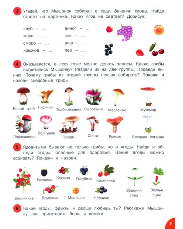 Окружающий мир. Тетрадь для занятий с детьми 5-7 лет