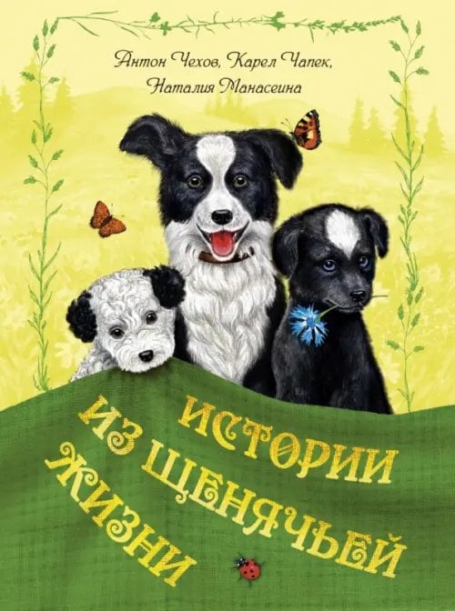 Мы соседи по планете Истории из щенячьей жизни