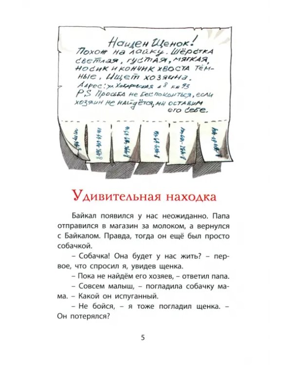 Найден щенок! Просьба не беспокоиться...