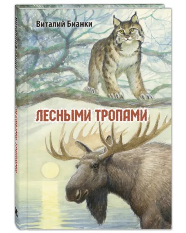 Лесными тропами