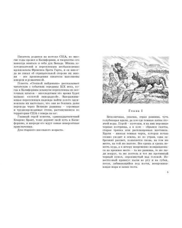 Степной найденыш