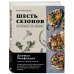 Шесть сезонов. Об овощах по-новому