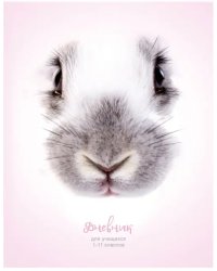 Дневник для 1-11 классов Зайчик мой, 48 листов