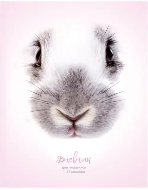 Дневник для 1-11 классов Зайчик мой, 48 листов