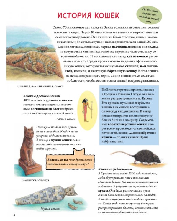 Моя самая красивая книга о кошках и собаках