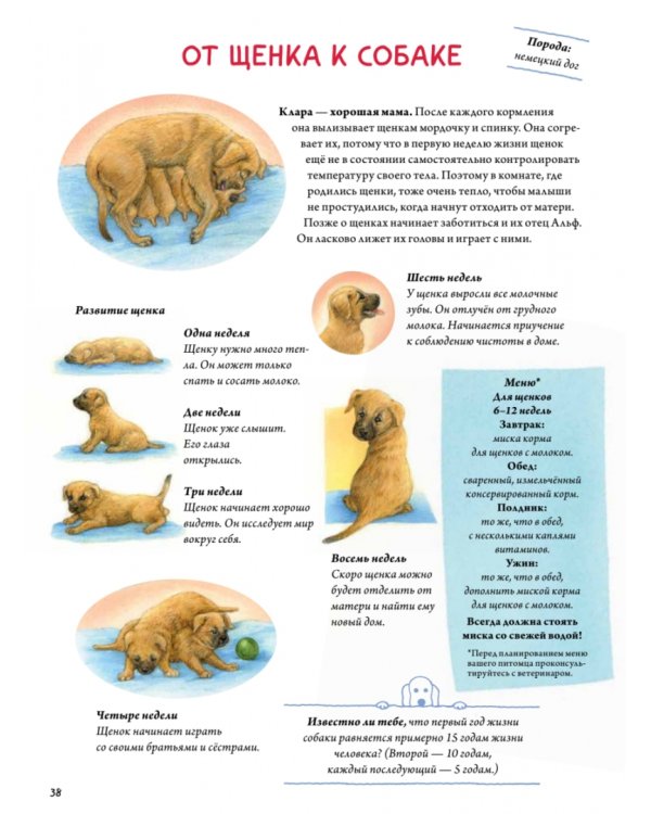 Моя самая красивая книга о кошках и собаках