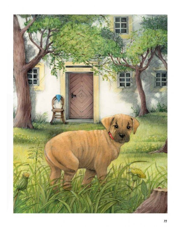 Моя самая красивая книга о кошках и собаках