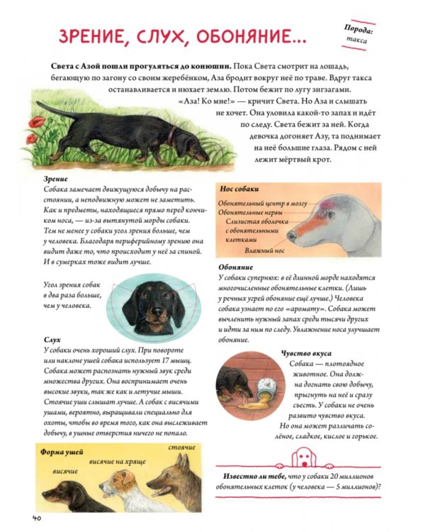 Моя самая красивая книга о кошках и собаках