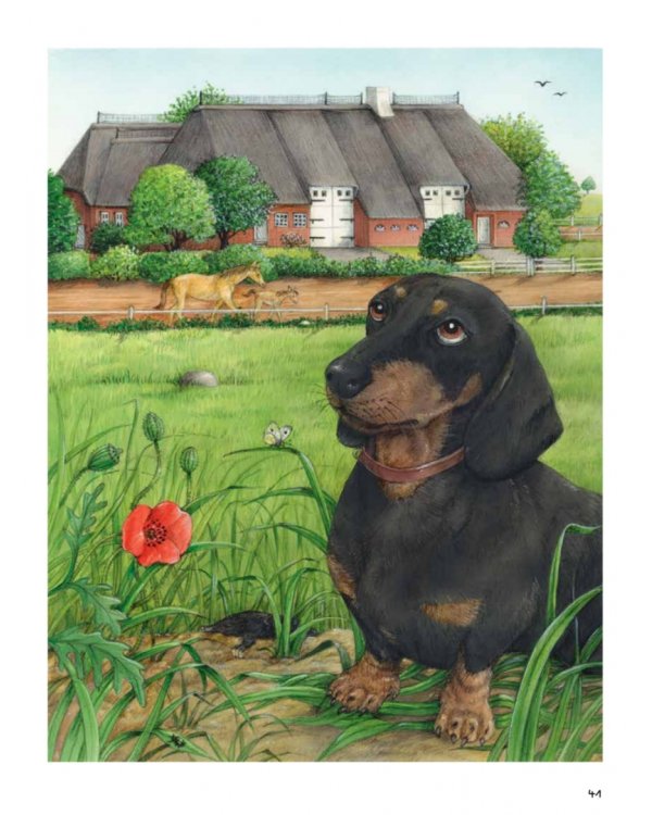 Моя самая красивая книга о кошках и собаках