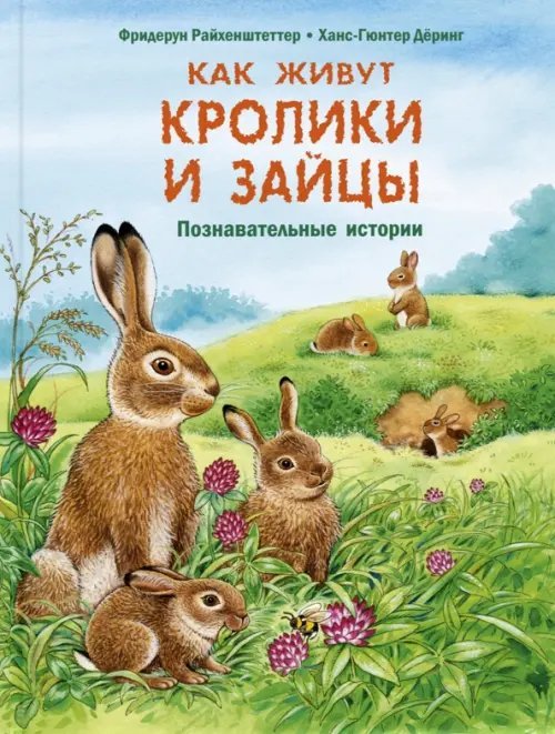 Как живут кролики и зайцы. Познавательные истории