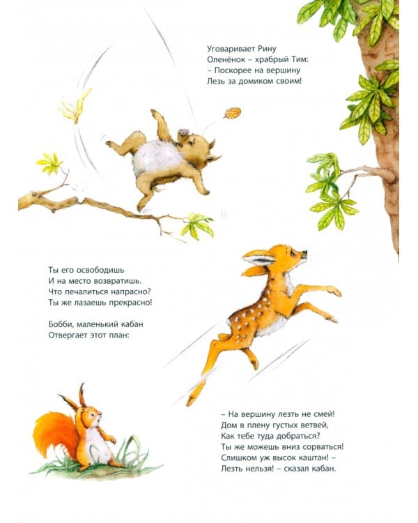 Большое приключение маленькой белочки