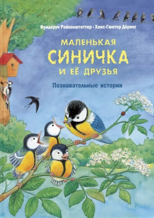 Давай познакомимся Маленькая синичка и её друзья. Познавательные истории