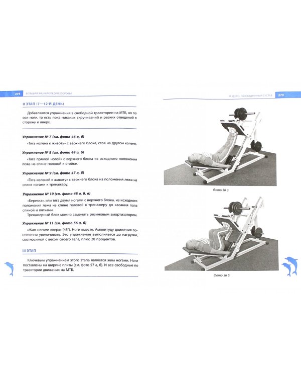 Большая энциклопедия здоровья. Лечение позвоночника и суставов без лекарств