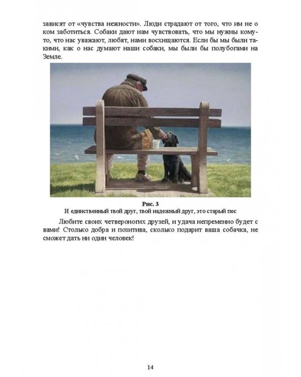 Содержание собаки в городе. Уход, воспитание и дрессировка. Учебное пособие для СПО