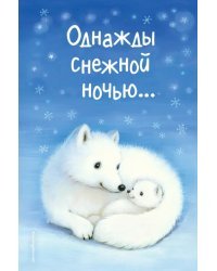 Однажды снежной ночью...