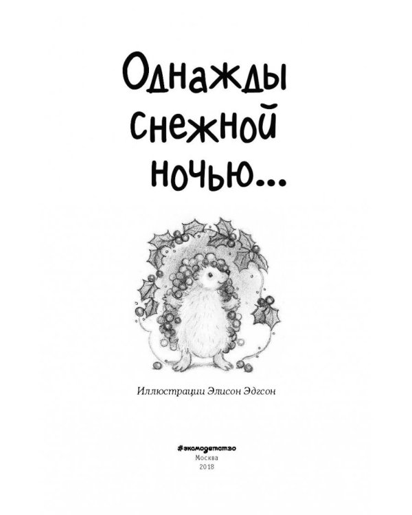 Однажды снежной ночью...