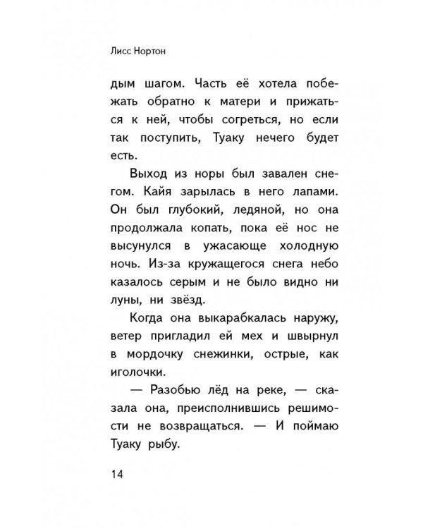 Однажды снежной ночью...