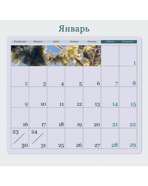 Счастье в мелочах. Авторский календарь Ольги Нестеровой. Календарь настенный на 2023 год