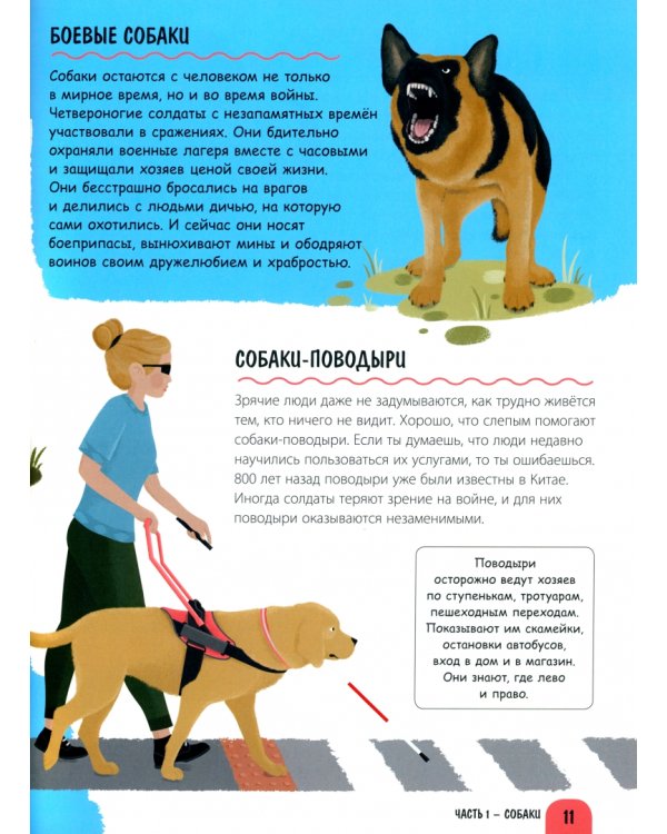 Верные помощники