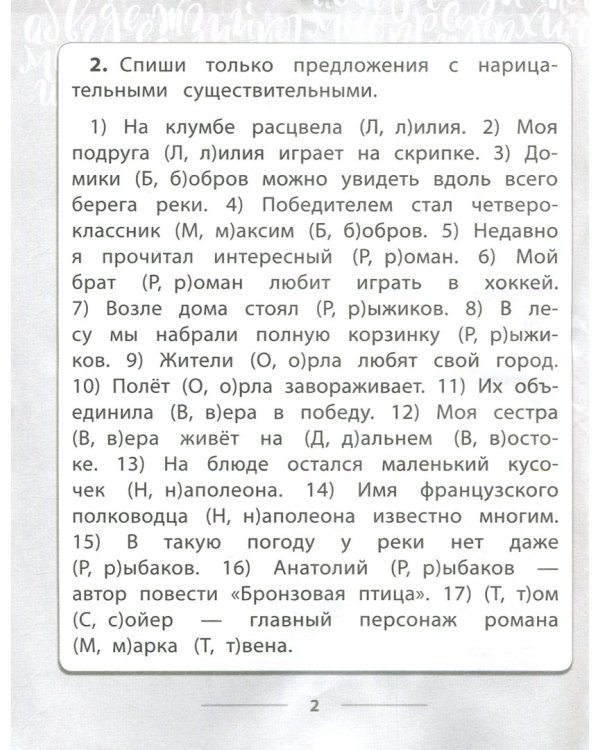 Русский язык. 2-4 классы. Правописание имен существительных. Тетрадь-практикум
