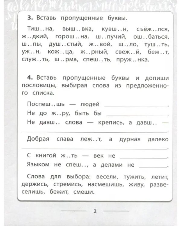Русский язык. 2-4 классы. Правописание буквосочетаний с шипящими звуками. Тетрадь-практикум
