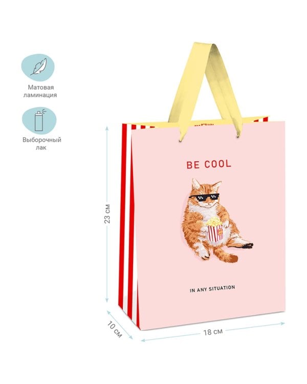 Пакет подарочный Be cool