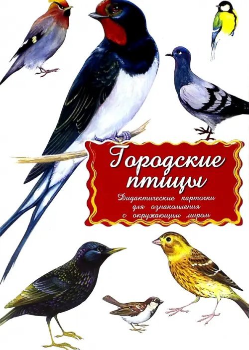 Дидактические карточки в целофане Дидактические карточки Городские птицы