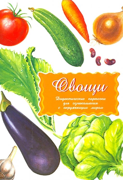 Дидактические карточки в целофане Дидактические карточки Овощи