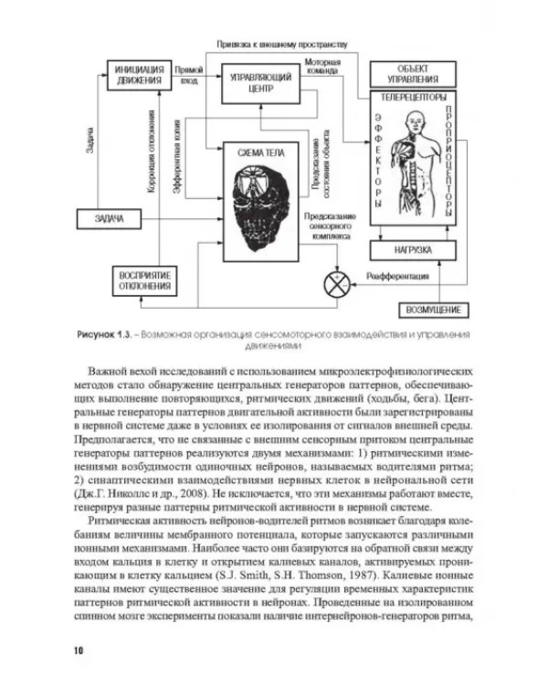 Физиология координационных способностей спортсменов. Монография