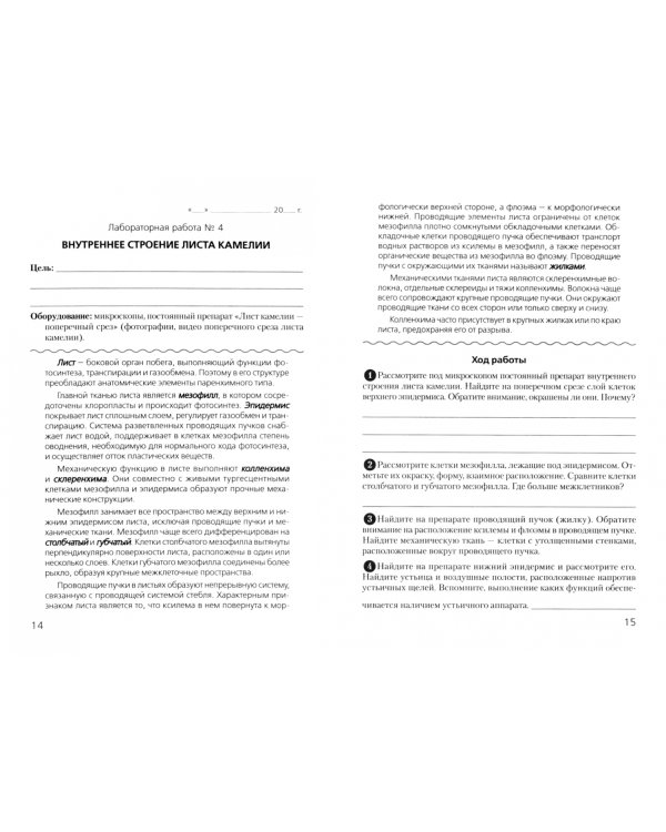 Биология. 10 класс. Тетрадь для лабораторных и практических работ. Повышенный уровень