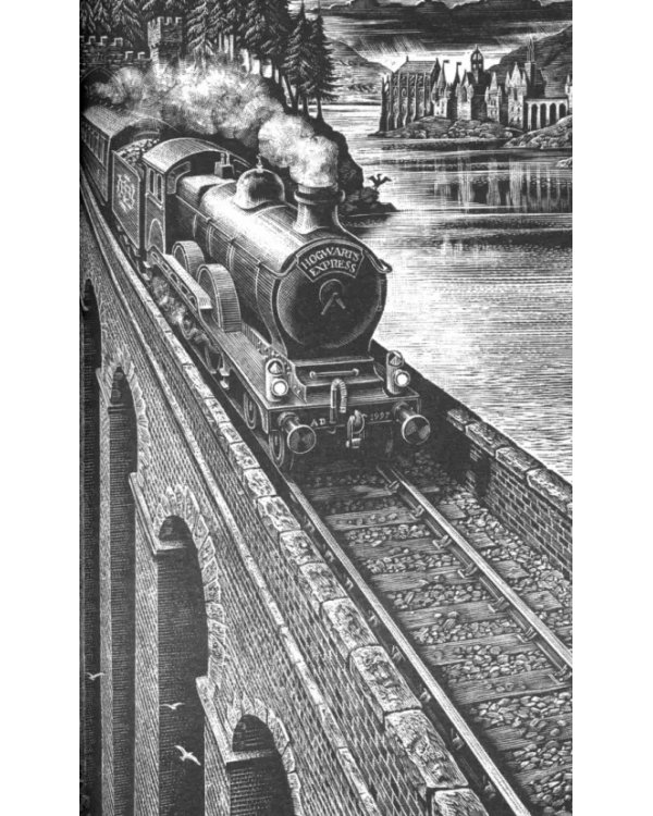 Harry Potter 1: Philosopher's Stone (new adult)