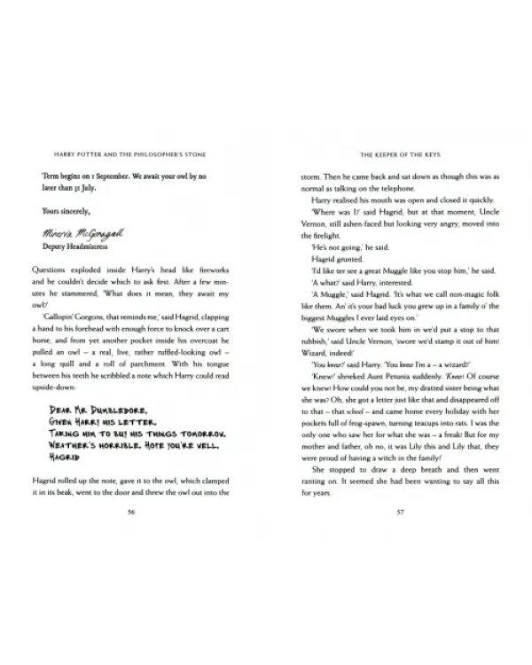 Harry Potter 1: Philosopher's Stone (new adult)