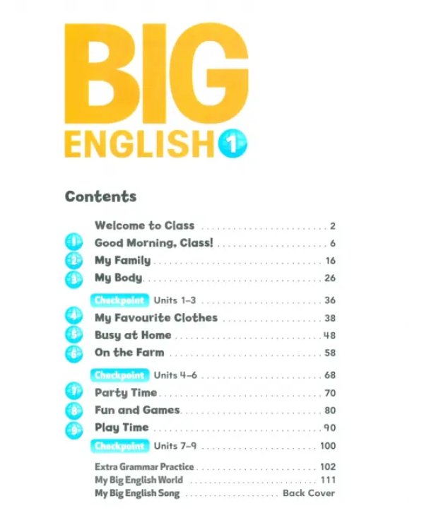 Дополнительное изображение книги «Big English. Level 1. Activity Book»