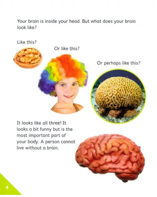 Brain Gym