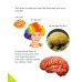 Brain Gym