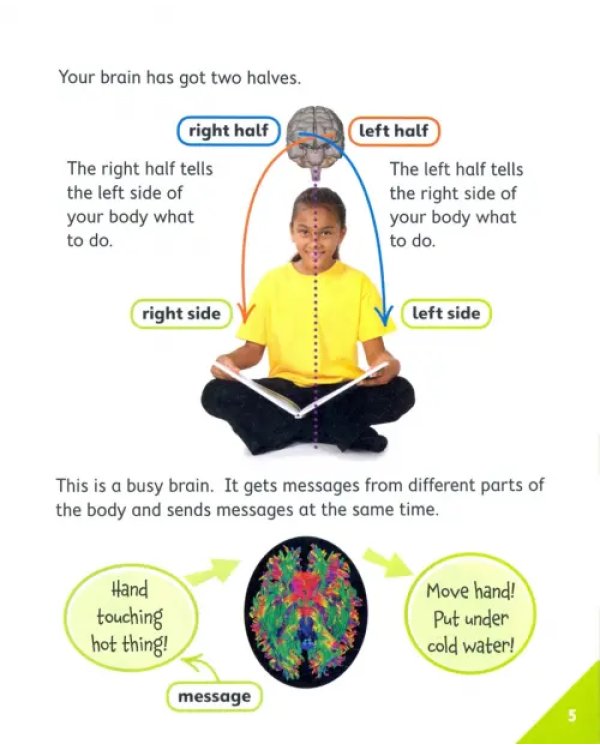 Brain Gym