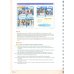 Big English 4. Teacher's Book