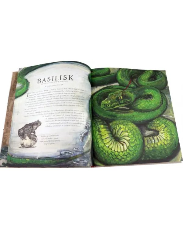 Fantastic Beasts and Where to Find Them